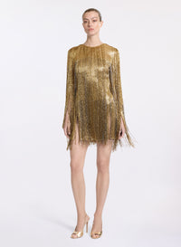 Fringe Embroidered Short Dress