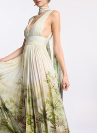 Printed Chiffon Oasis Dress