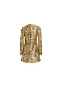 Bead Embroidered Golden Dress