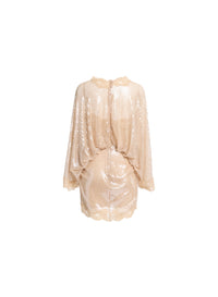 Sequined Mesh Dress (PR)