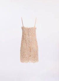 Bead Embroidered Lace Dress