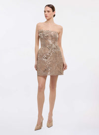 Sequin Embroidered Short Dress