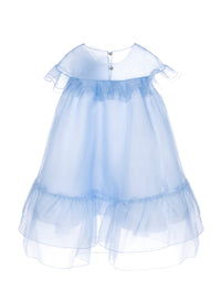 Organza Dress