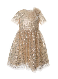 Sequin Tulle Dress