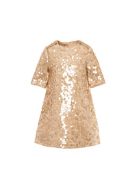 Sequin Embellished Dress