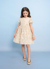 Embroidered Wool Dress