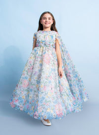 Floral Print Organza Dress