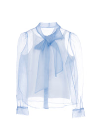 Organza Shirt