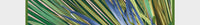 Twill Silk Square