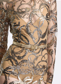 Embroidered Tulle Long Dress