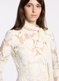 Tulle Embroidered Midi Dress