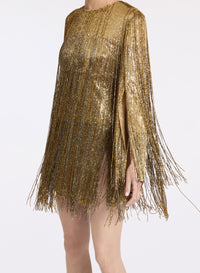 Fringe Embroidered Short Dress