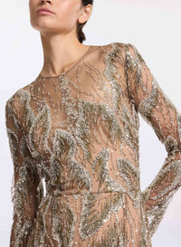 Embroidered Tulle Long-Sleeved Dress