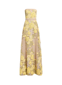 Tulle Embroidered Long Dress