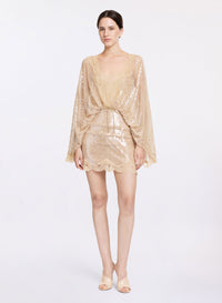 Sequined Mesh Dress (PR)