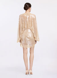 Sequined Mesh Dress (PR)