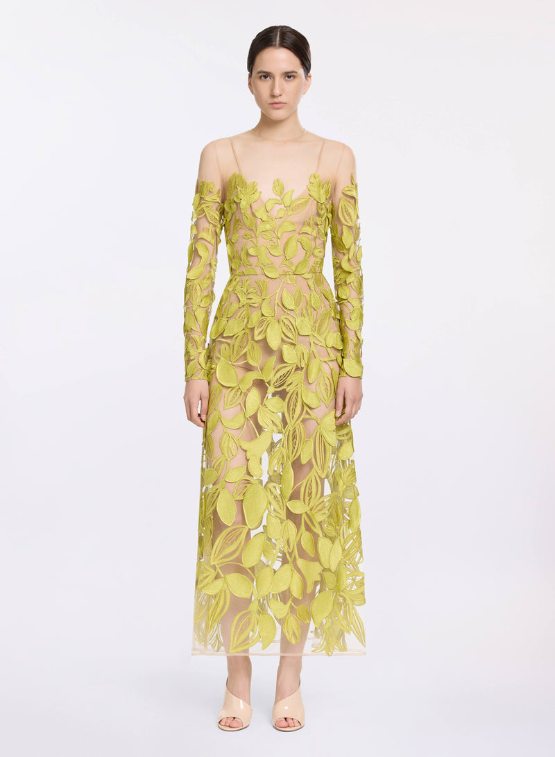 Embroidered Tulle Dress