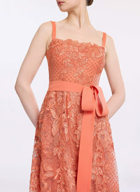 Embroidered Tulle and Lace Dress