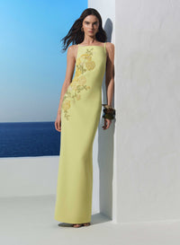 Embellished Cady Long Dress