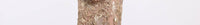 Sequin Embroidered Tulle Dress