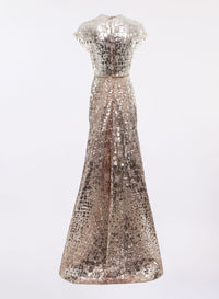 Sequin Embroidered Long Dress