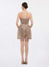 Sequin Embroidered Short Dress