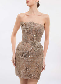 Sequin Embroidered Short Dress