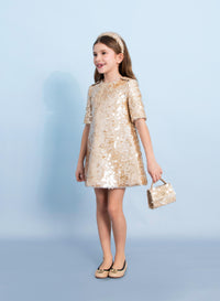 Sequin Embellished Dress