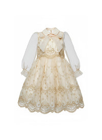 Embroidered Organza Dress