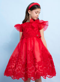 Embroidered Organza Dress