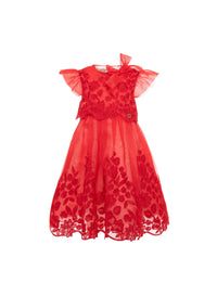 Embroidered Organza Dress