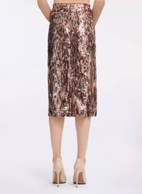 Sequin Embroidered Skirt